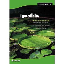 CLASSMATE A4 RULED 240 PAGES NOTEBOOK 6 PIECES
